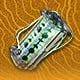 Eternal Xiranite Power Core T1