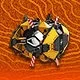 Detonation Unit